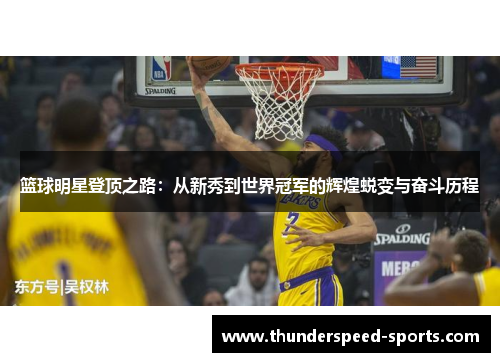 篮球明星登顶之路：从新秀到世界冠军的辉煌蜕变与奋斗历程